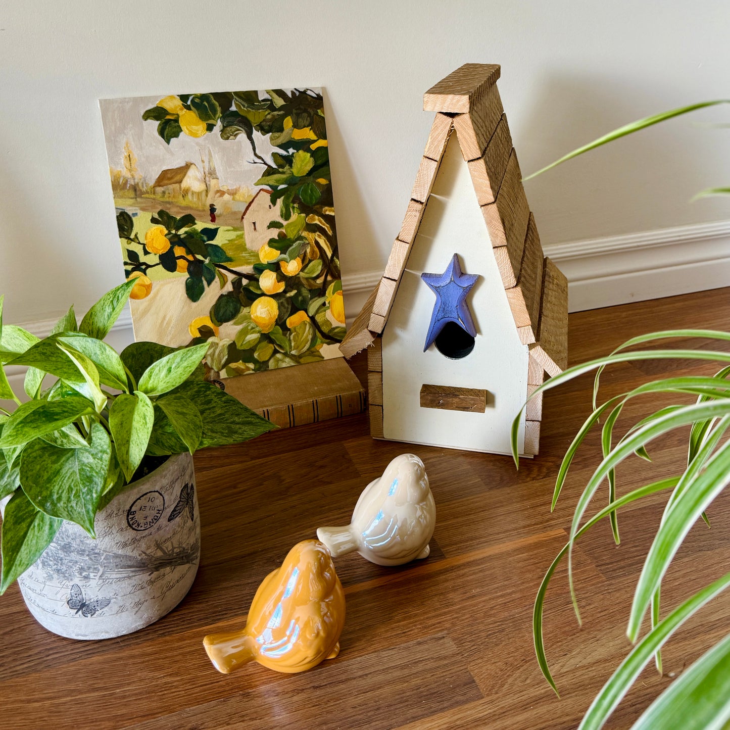 Wooden Star Bird House