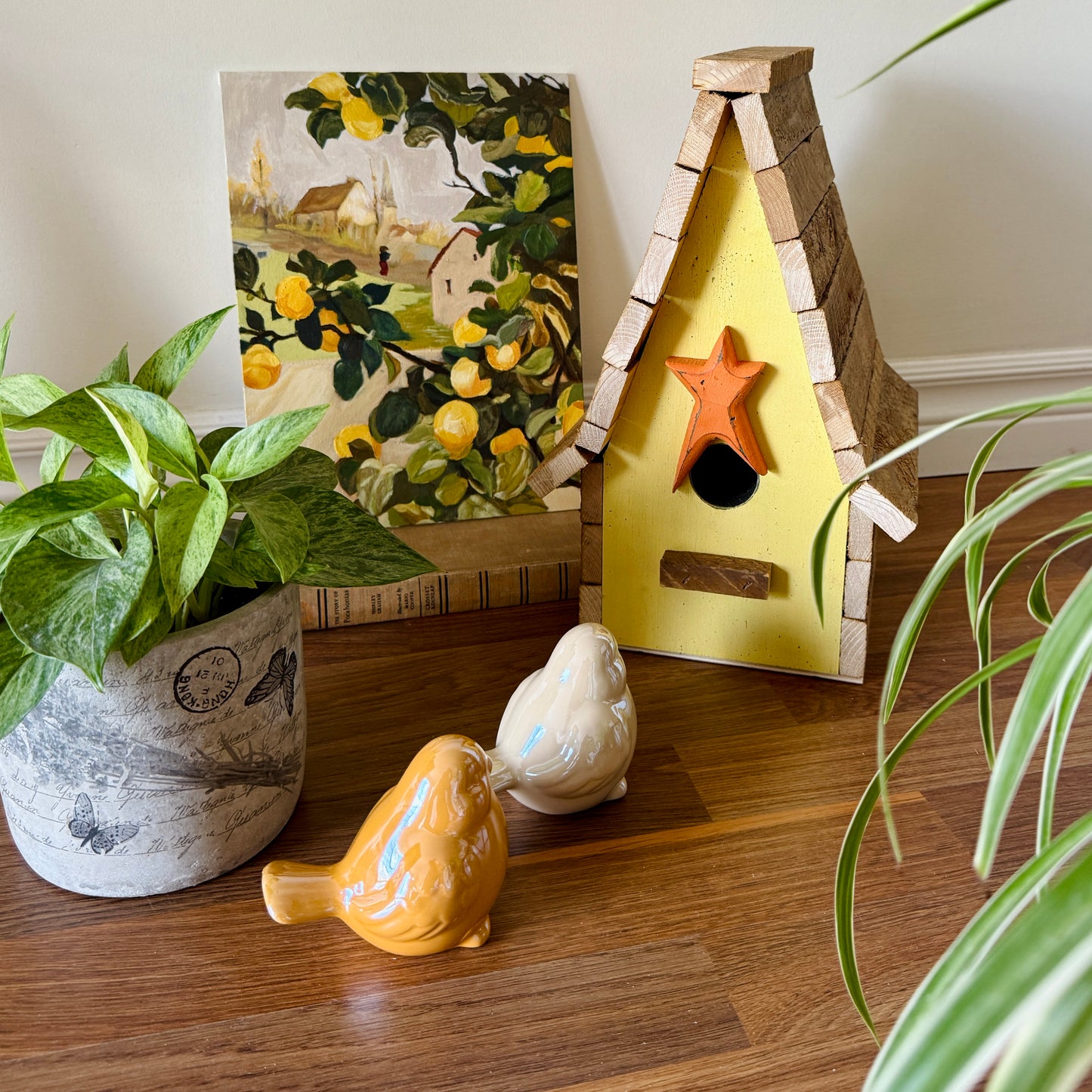 Wooden Star Bird House