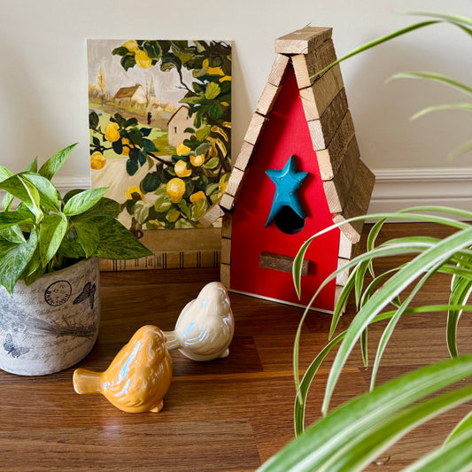 Wooden Star Bird House