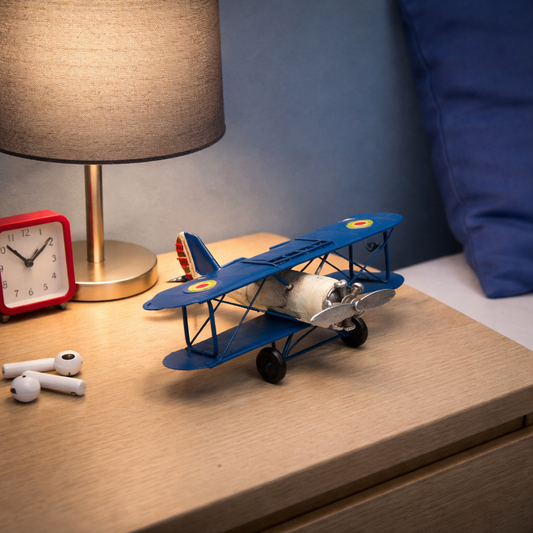 Vintage French Biplane Model