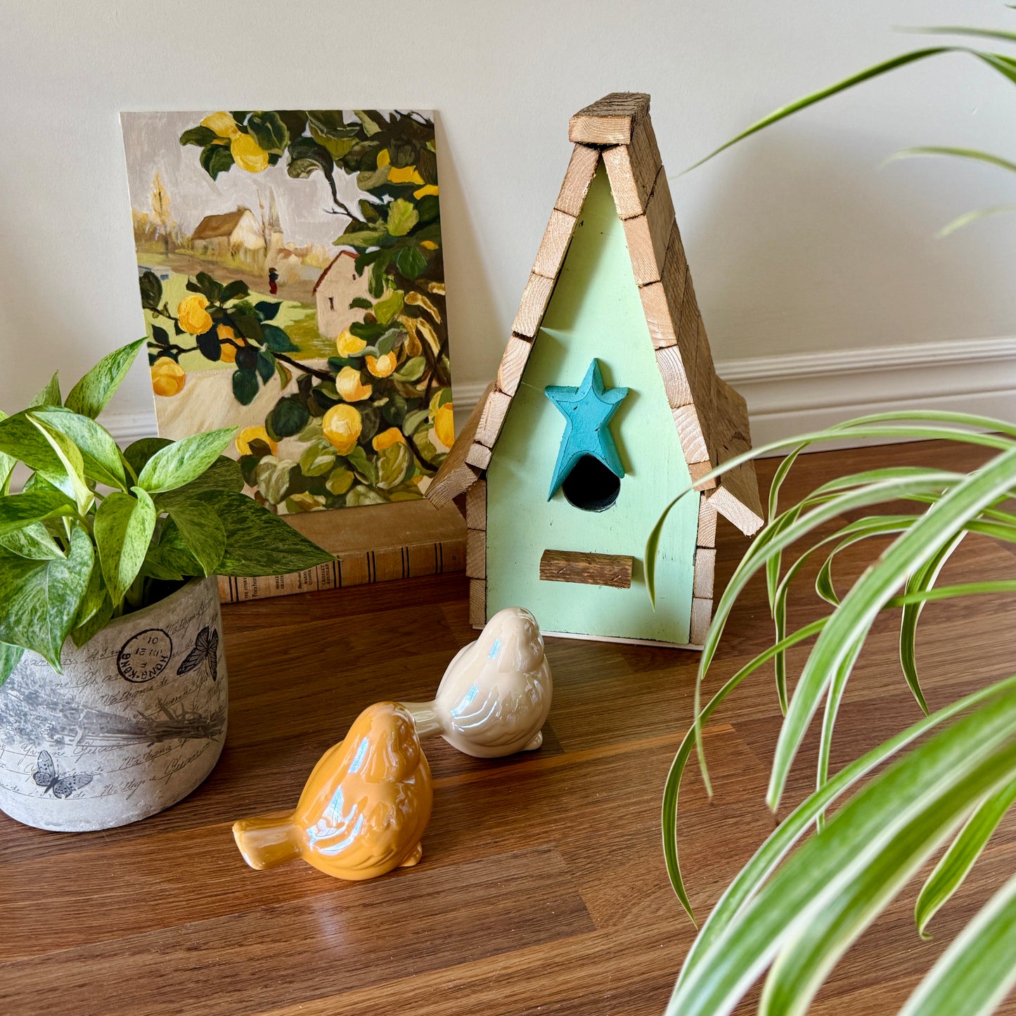 Wooden Star Bird House